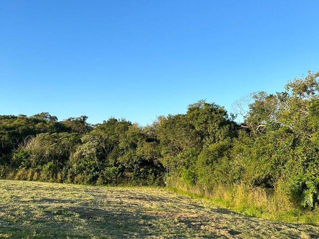 #141 - Área para Venda em Araçoiaba da Serra - SP - 3