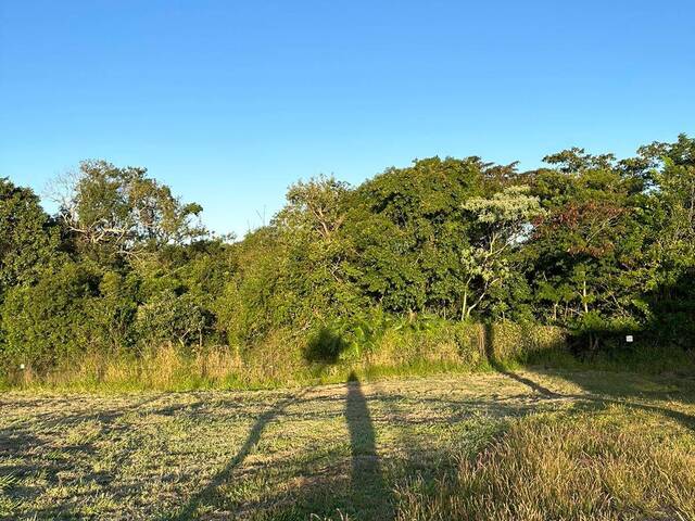 Área para Venda em Araçoiaba da Serra - 4