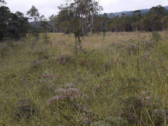 #184 - Chácara para Venda em Ribeirão Branco - SP - 2