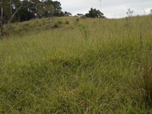 #184 - Chácara para Venda em Ribeirão Branco - SP - 3