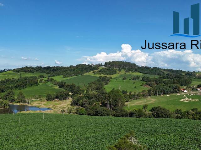 Chácara para Locação em Araçoiaba da Serra - 3
