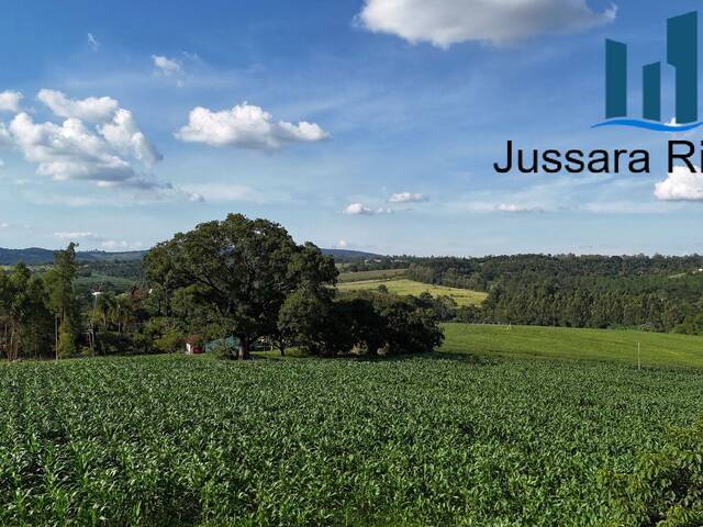Chácara para Locação em Araçoiaba da Serra - 5